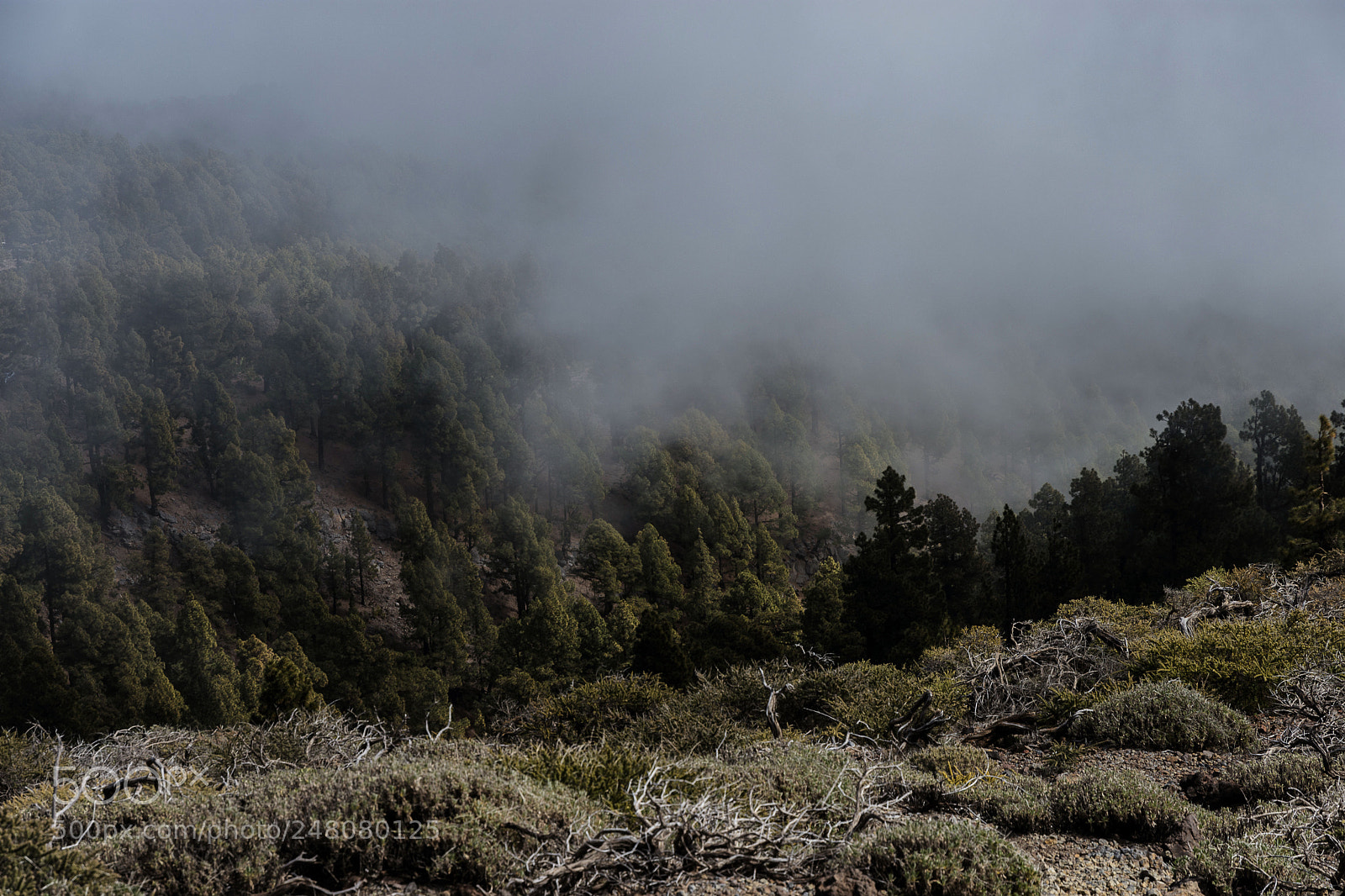 Nikon D7200 sample photo. Pico de la nieve photography
