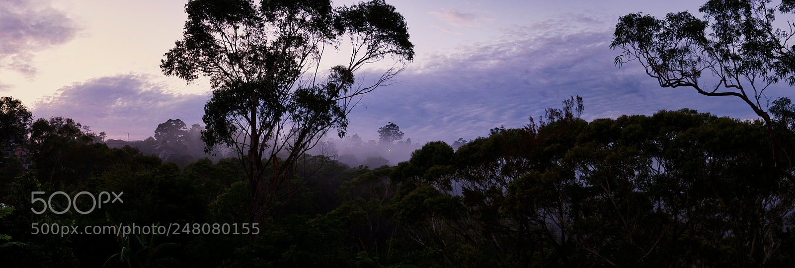 Fujifilm X-T2 sample photo. Misty morning photography