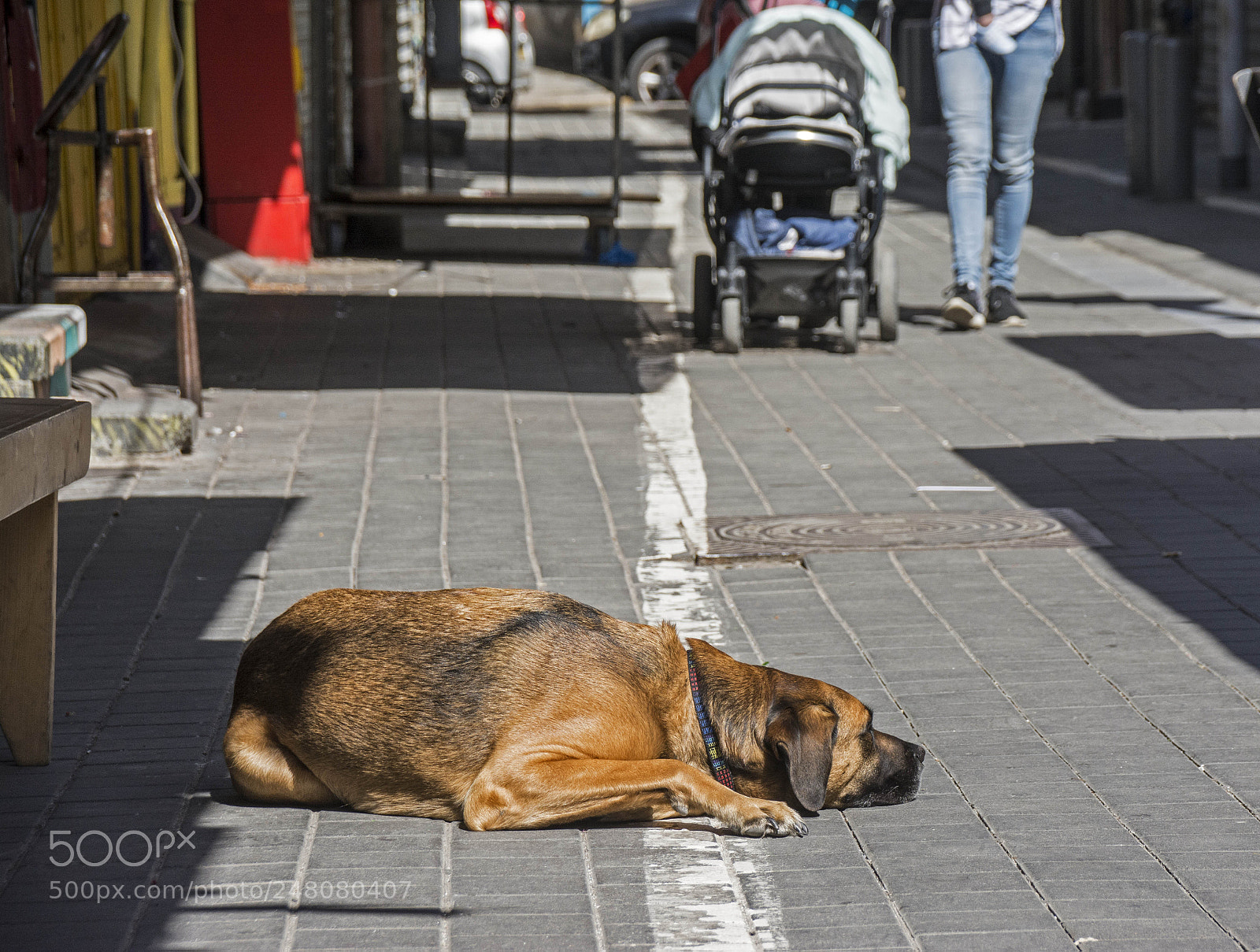 Nikon D7100 sample photo. *** photography