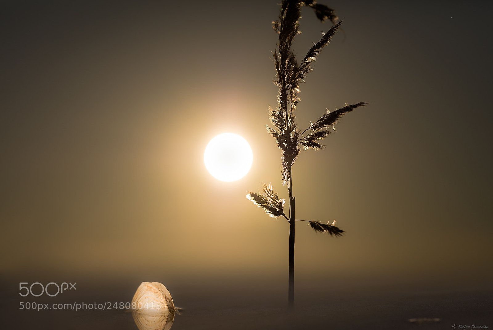 Canon EOS 5DS R sample photo. Changing you photography