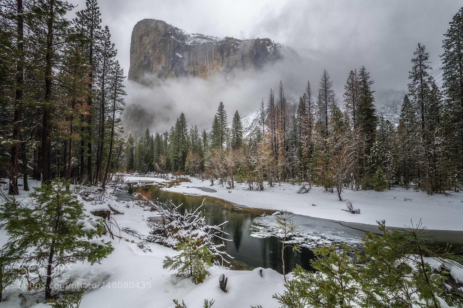 Nikon D850 sample photo. 2018 yosemite snow storm photography