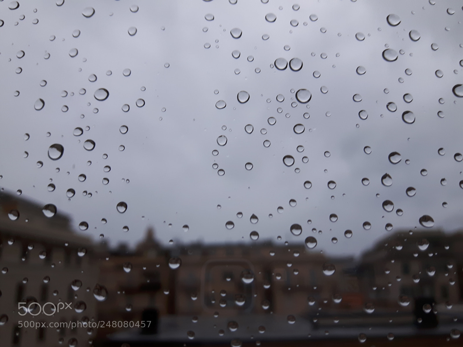 Samsung Galaxy S5 Neo sample photo. Rain photography
