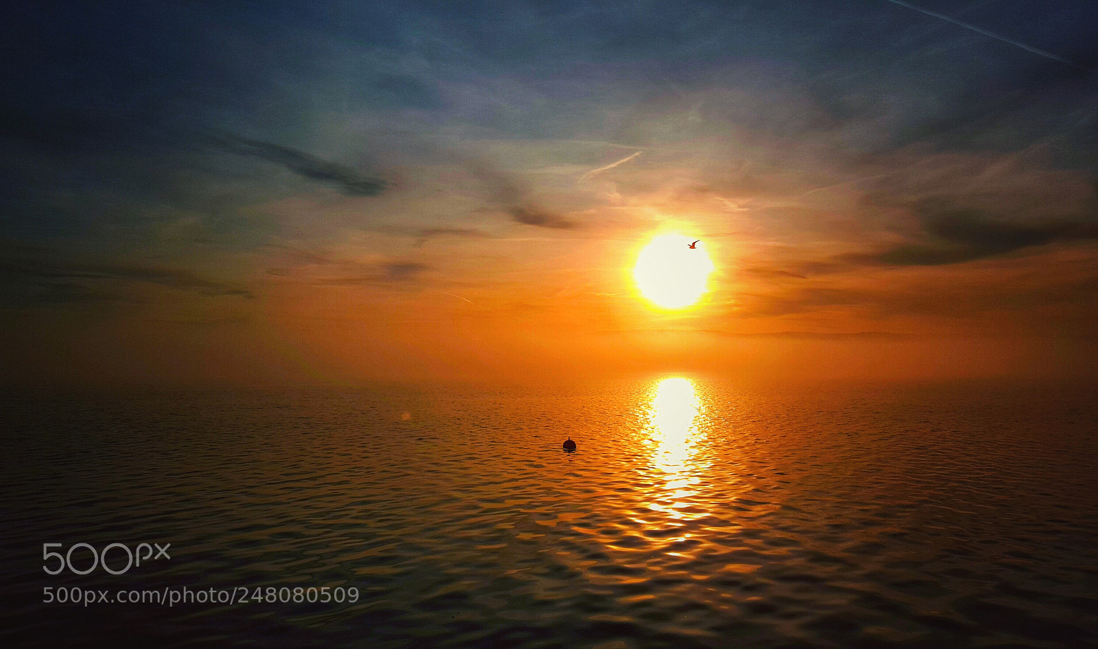 Samsung Galaxy S6 sample photo. Sun photography