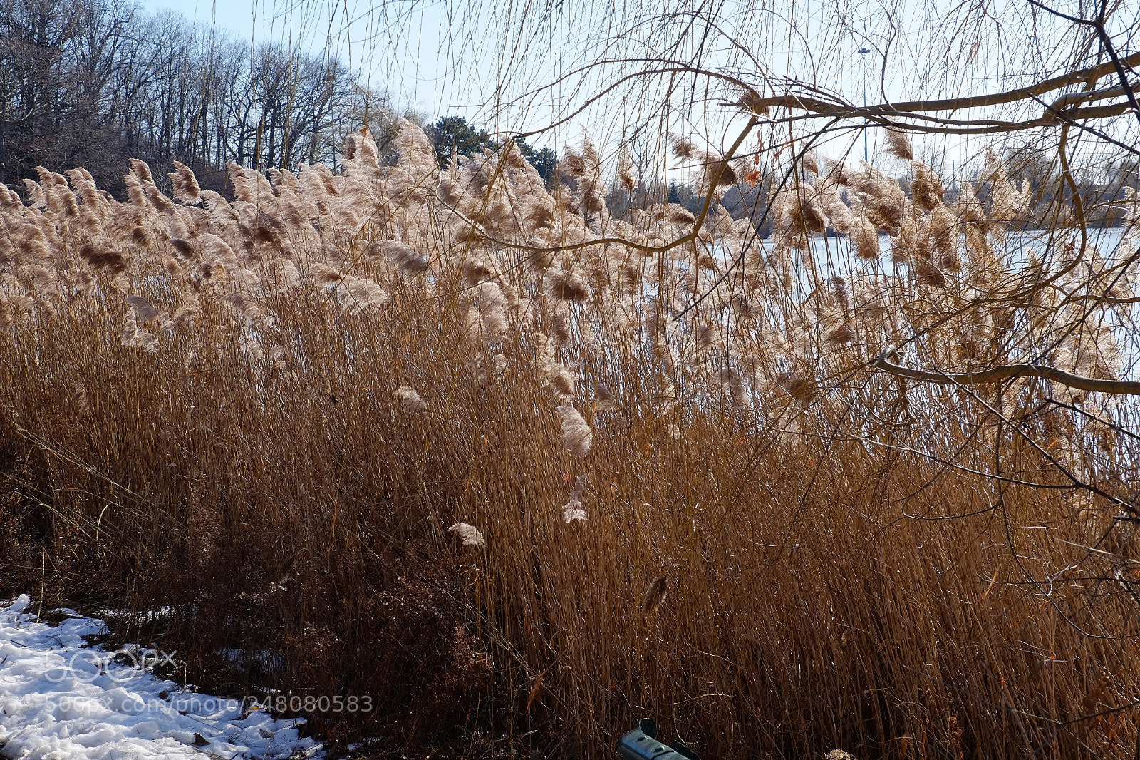 Fujifilm X-T1 sample photo. High park photography