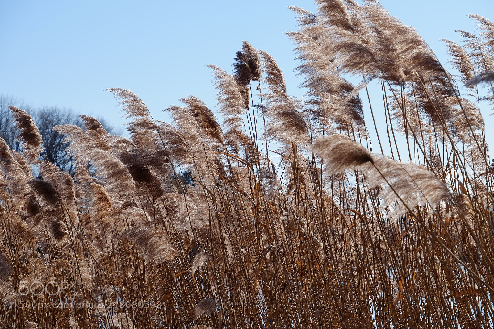 Fujifilm X-T1 sample photo. High park photography