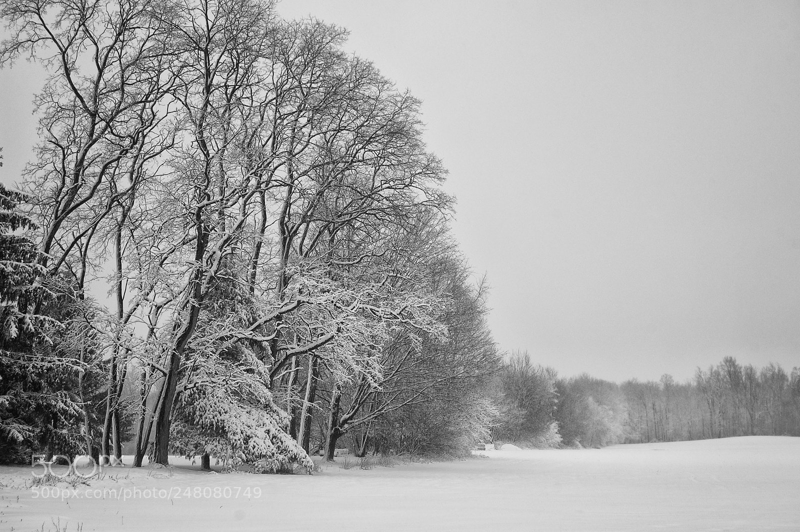 Nikon D40 sample photo. After the storm photography