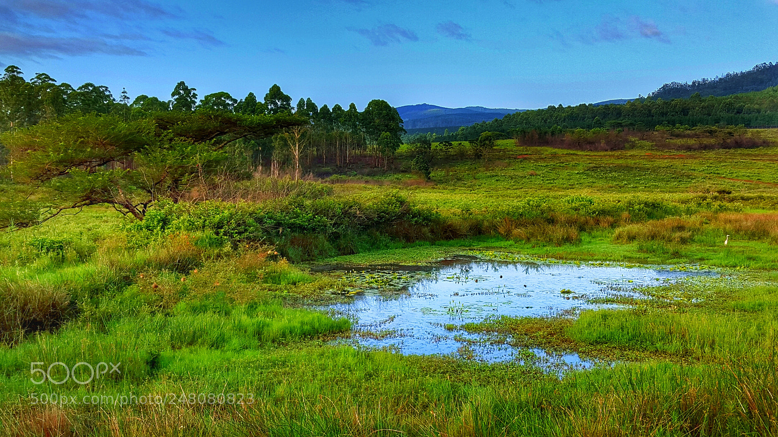 Samsung Galaxy S6 sample photo. Swaziland photography