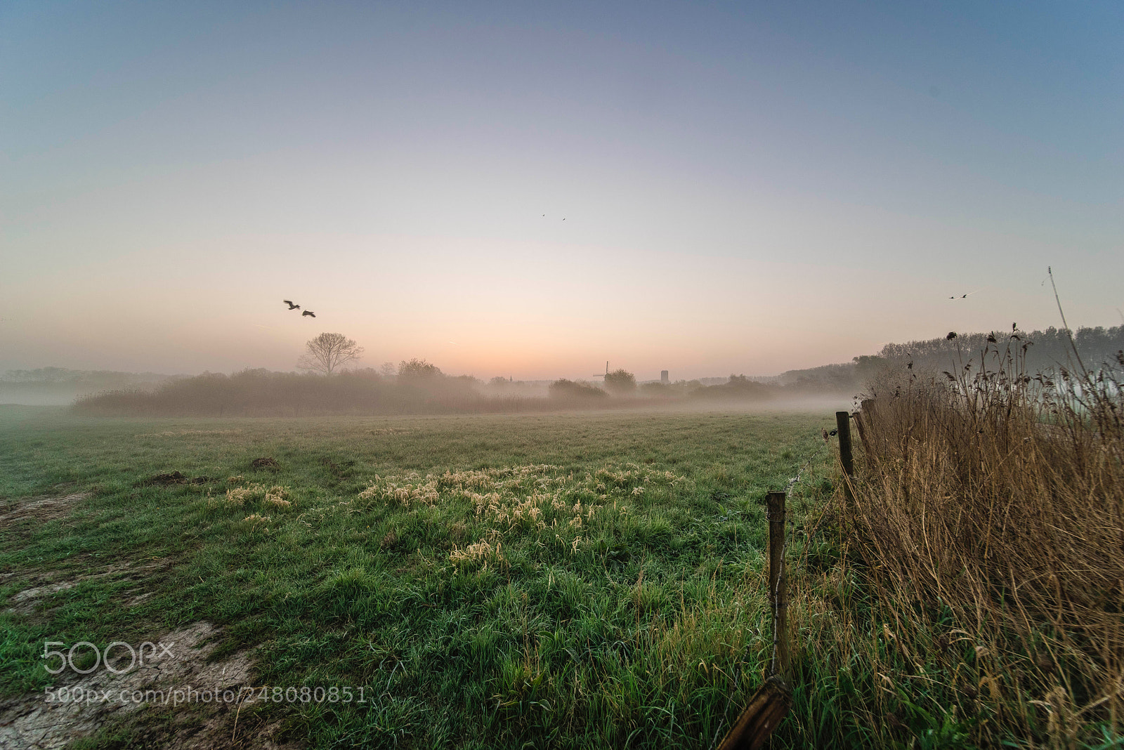Pentax K-1 sample photo. Sunrise in the damme photography