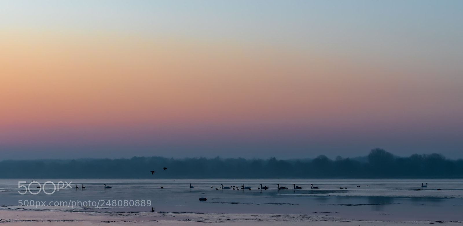 Nikon D500 sample photo. This morning photography