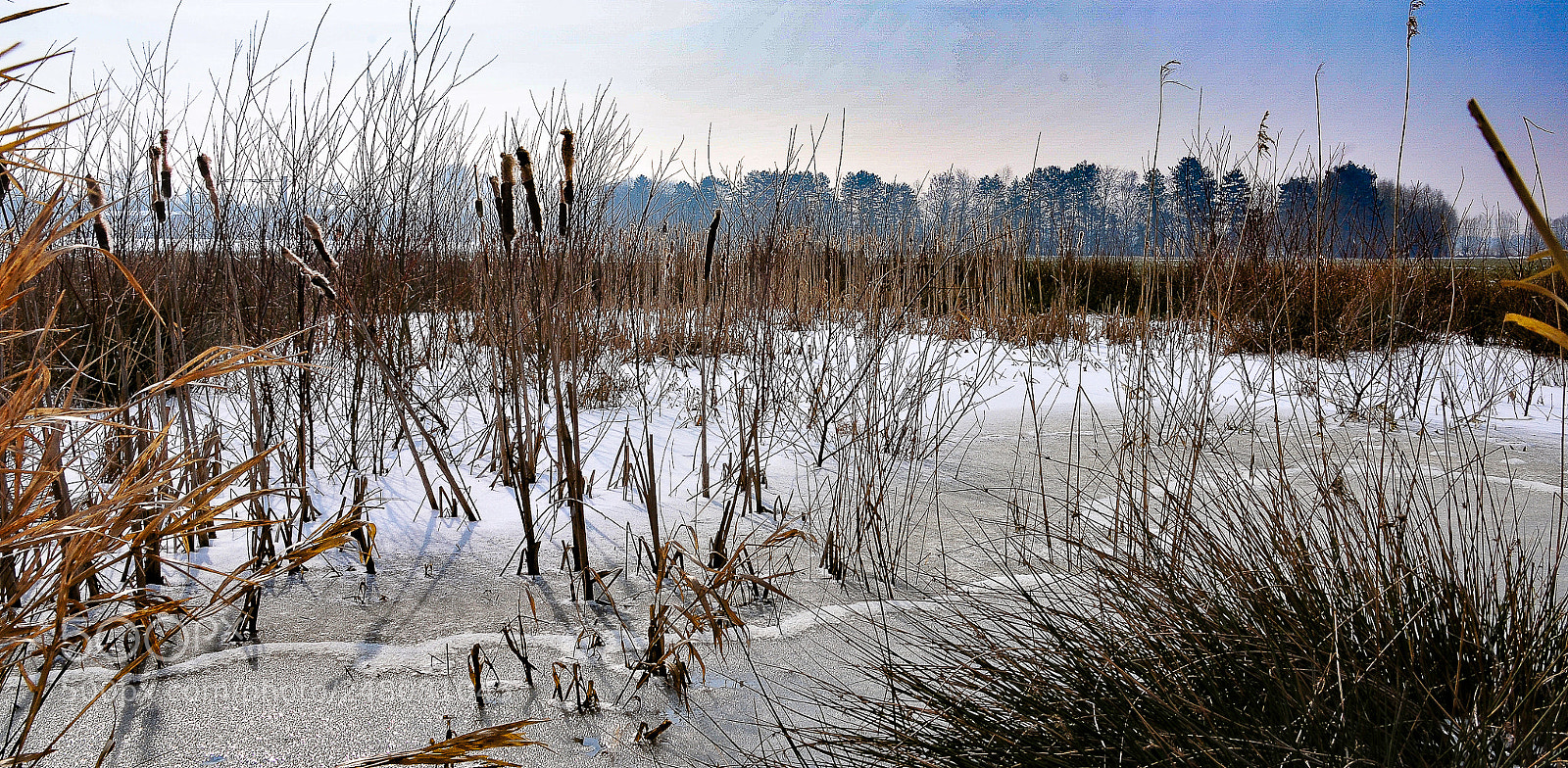Nikon D300 sample photo. Winter landscape photography