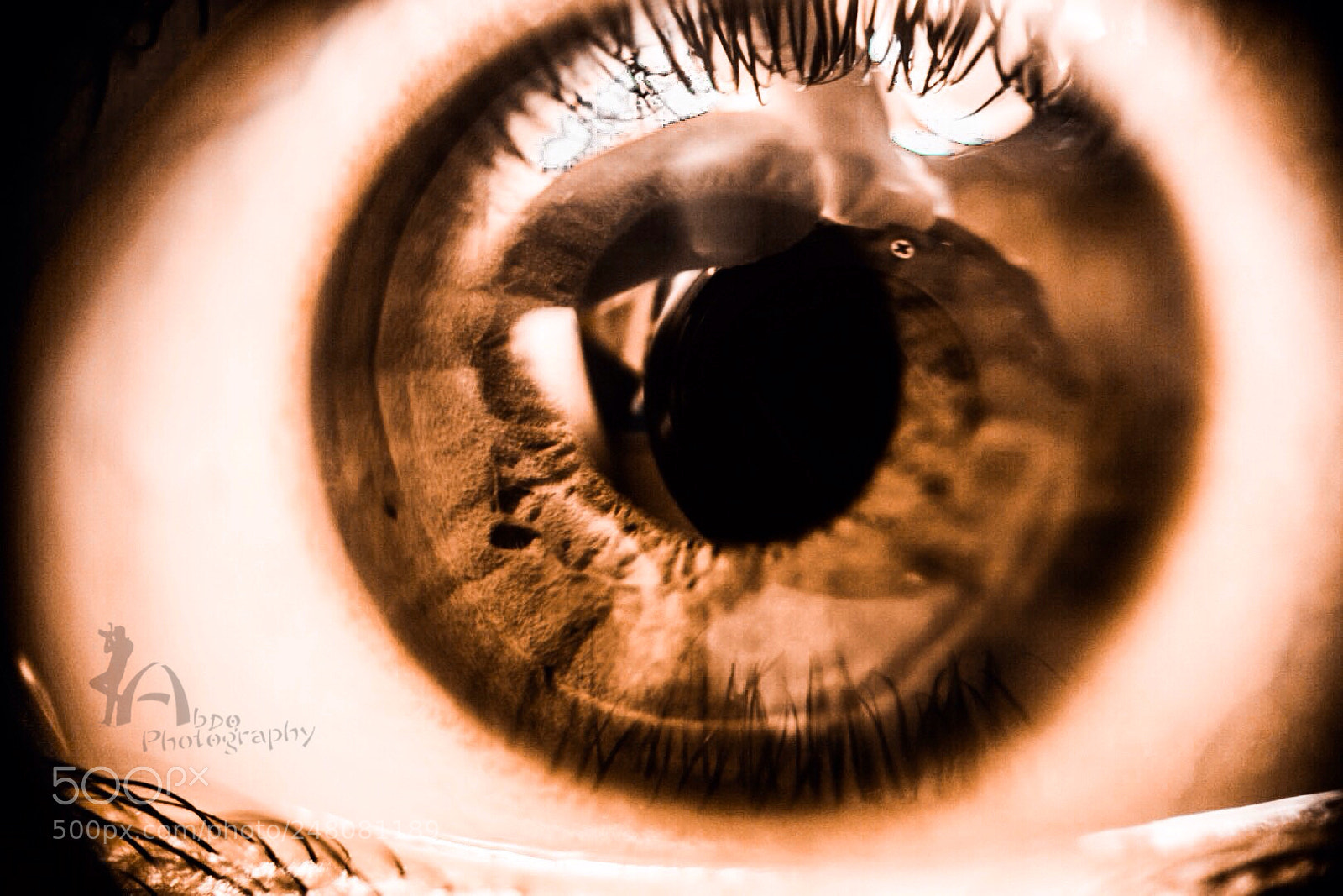 Nikon D5300 sample photo. The way you see photography
