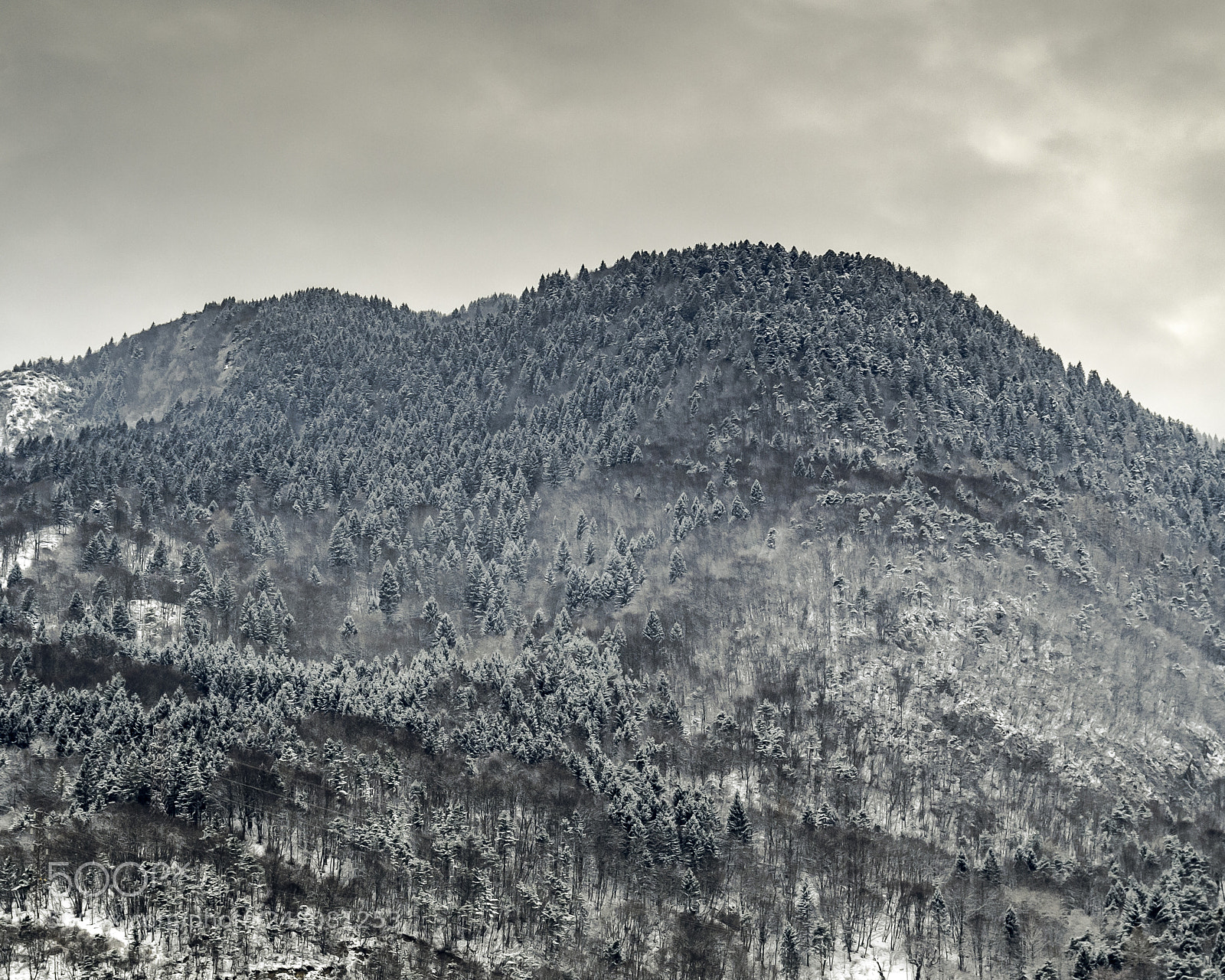 Pentax K-50 sample photo. Snow over the alps photography