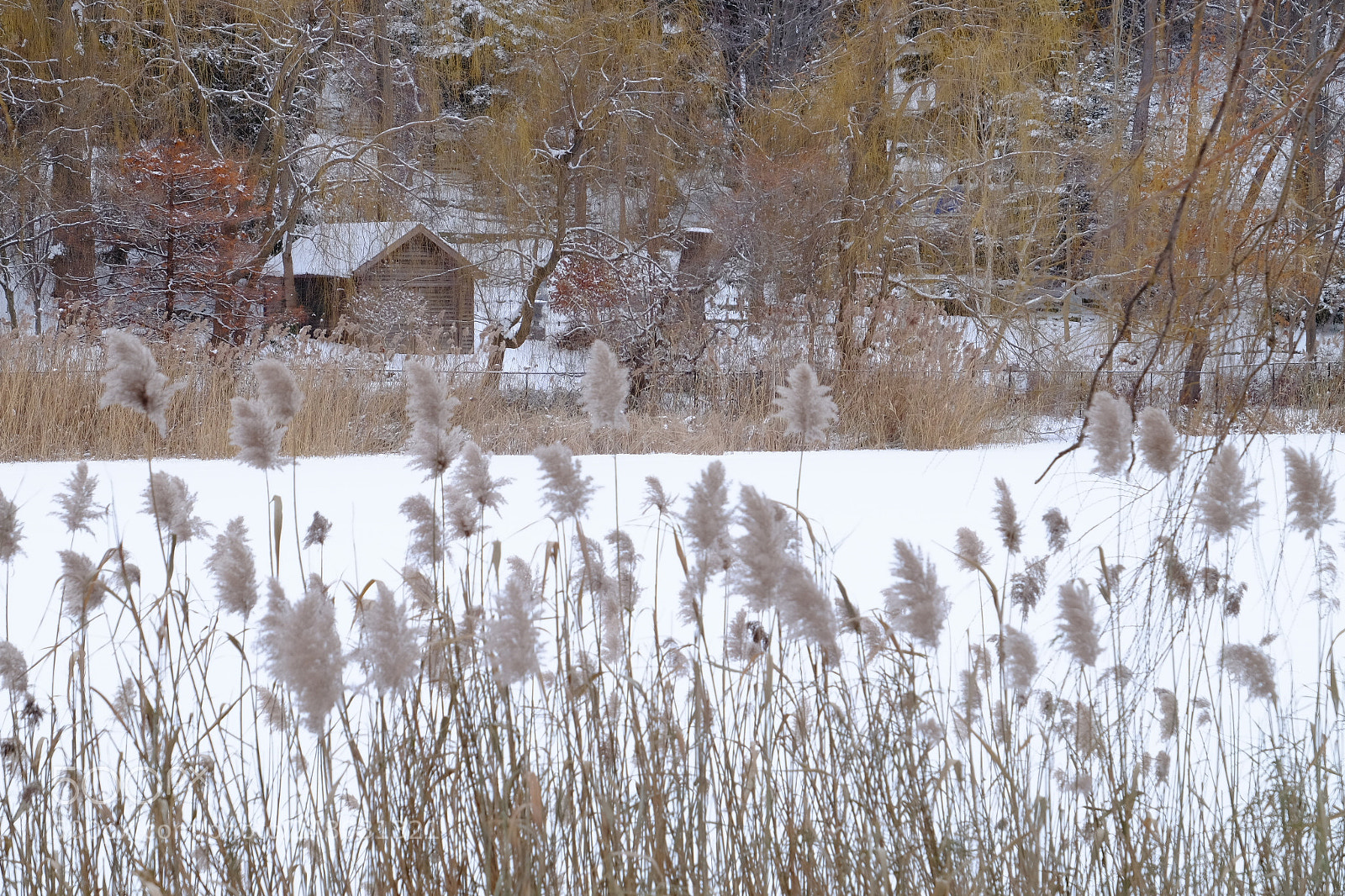 Fujifilm X-T1 sample photo. Hp6 photography