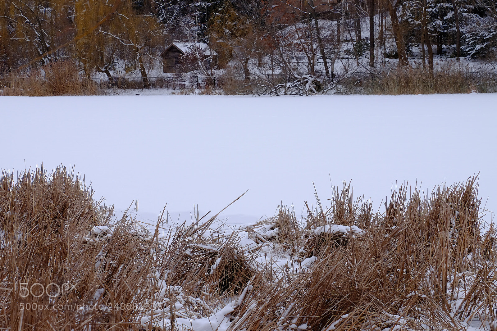 Fujifilm X-T1 sample photo. Hp8 photography