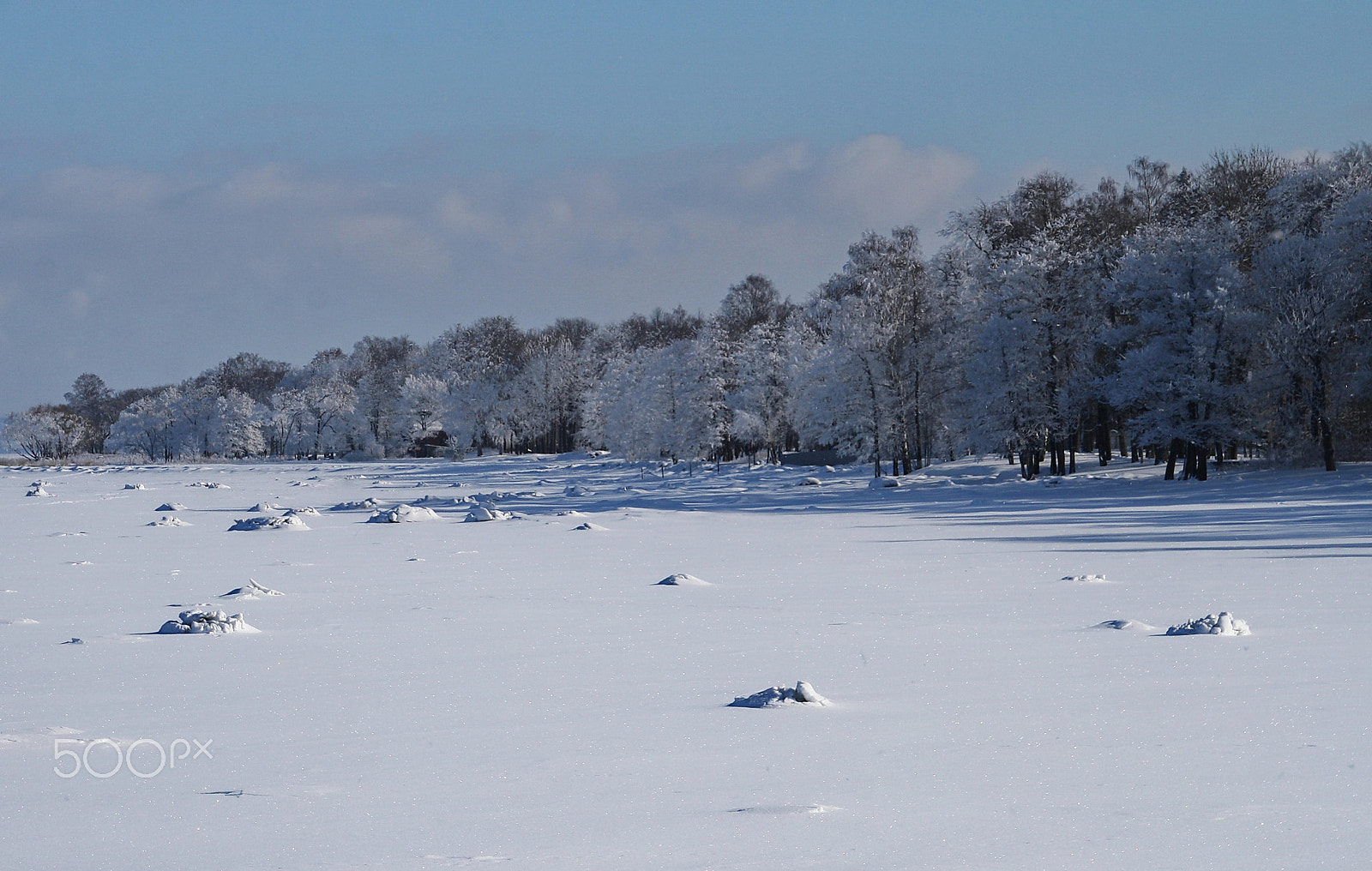 Canon EOS 1000D (EOS Digital Rebel XS / EOS Kiss F) sample photo. Shore of peterhof photography