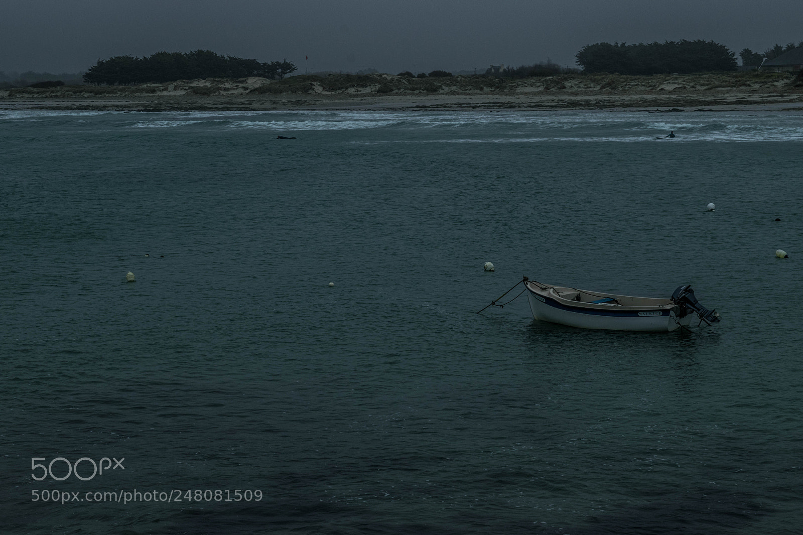 Nikon D5300 sample photo. Barque photography