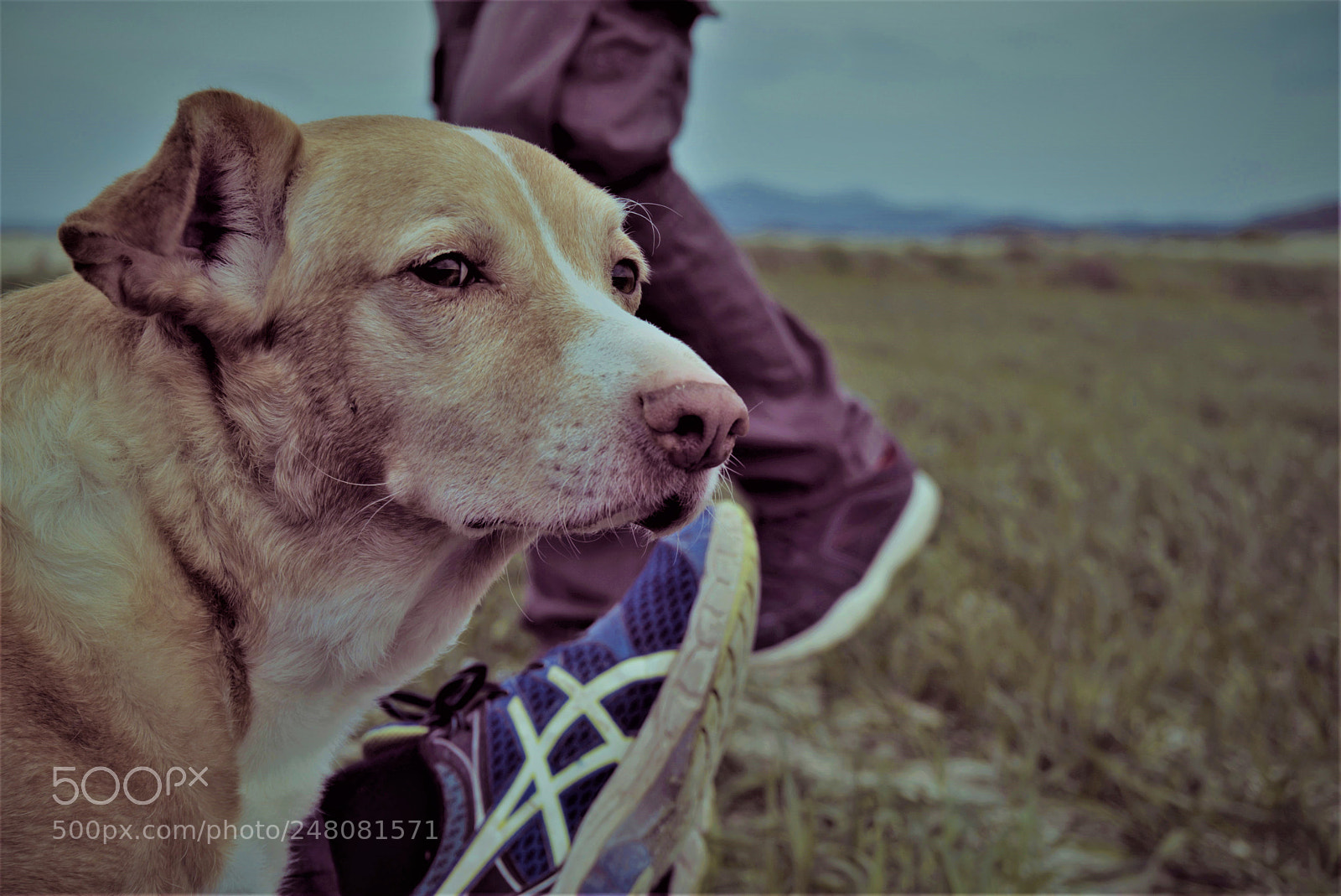Sony a5100 sample photo. Dsc photography
