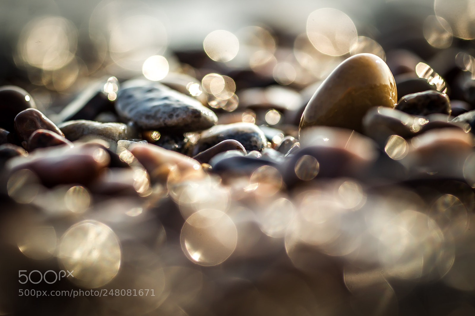 Canon EOS-1D Mark IV sample photo. Stones by seashore photography