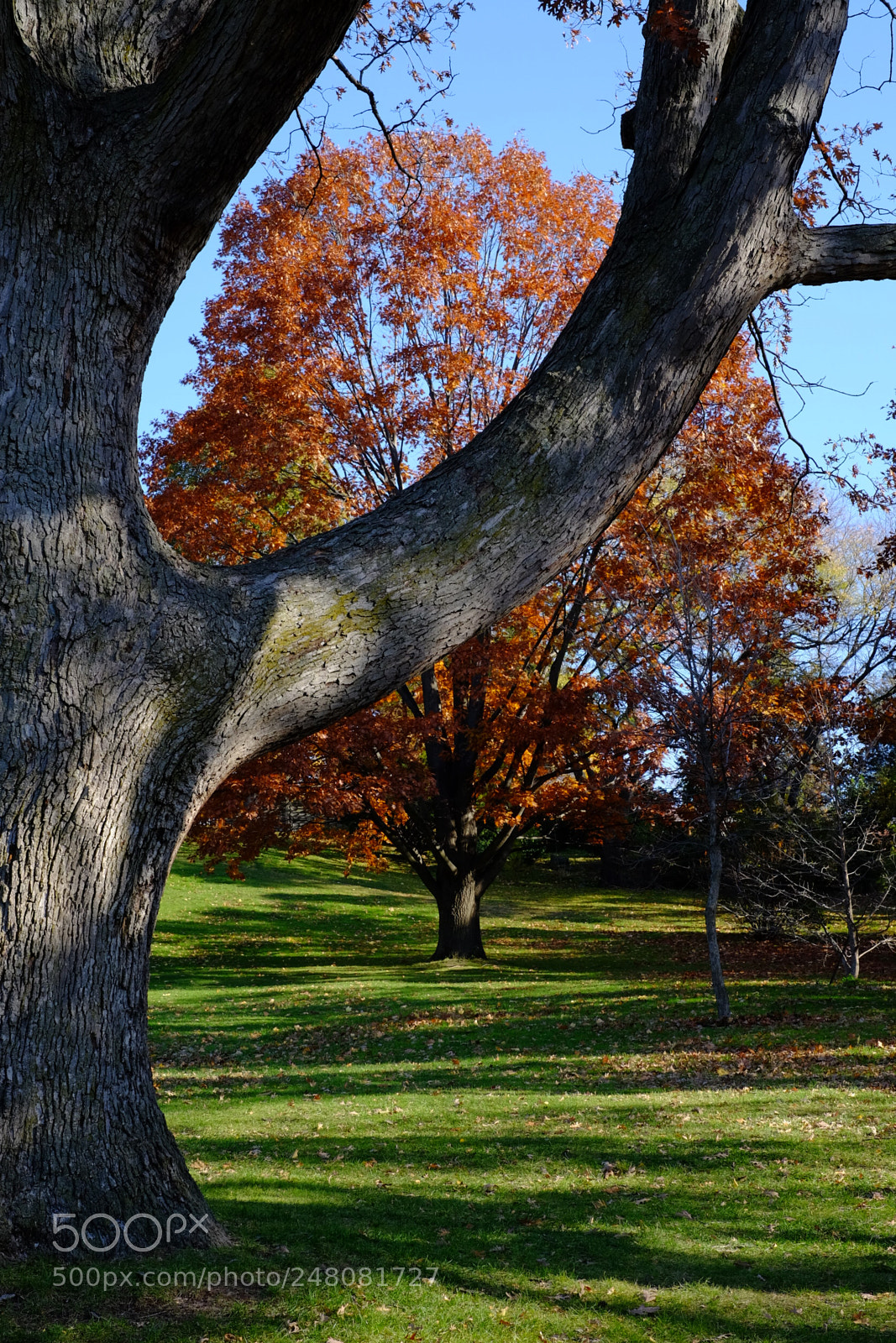 Fujifilm X-T1 sample photo. Dscf photography
