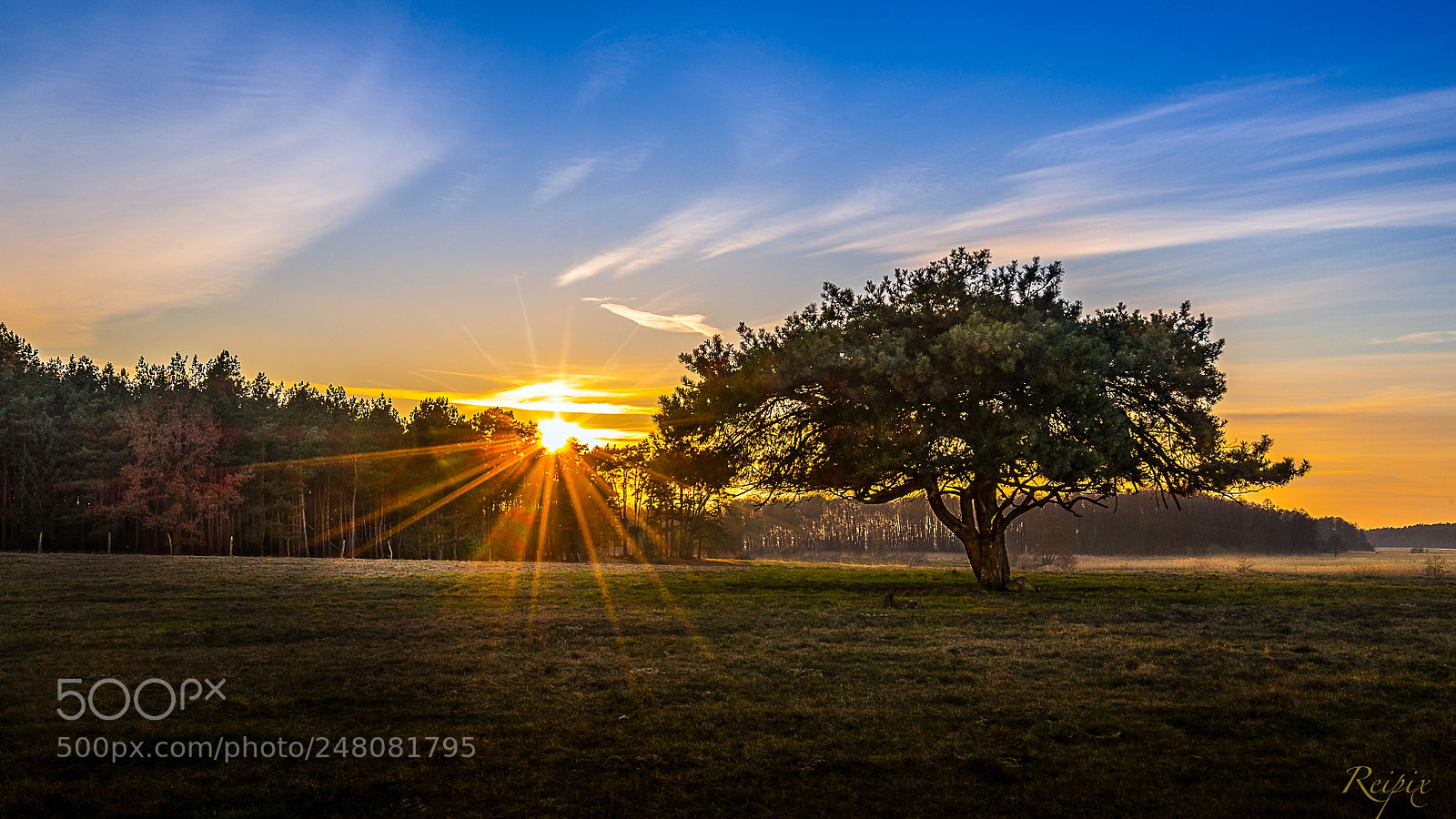 Sony a7R sample photo. Untitled photography
