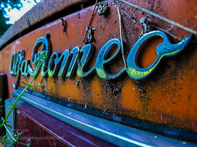 Canon PowerShot G11 sample photo. The exotic photography