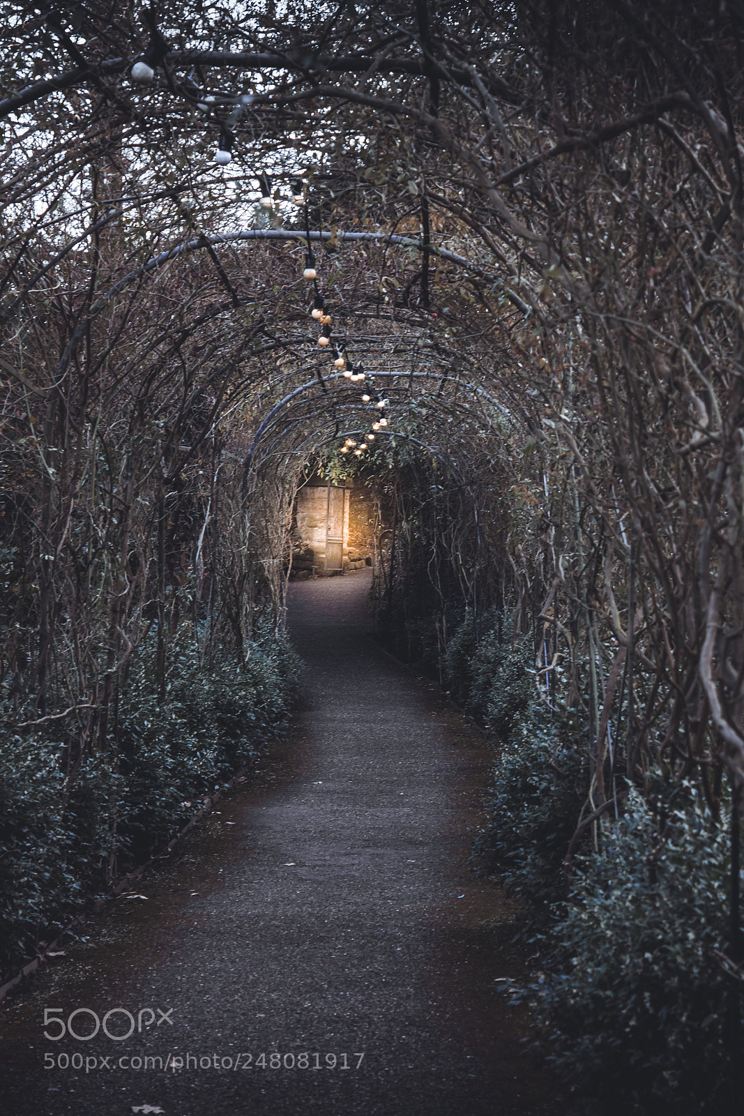 Canon EOS 60D sample photo. Pathway to success photography