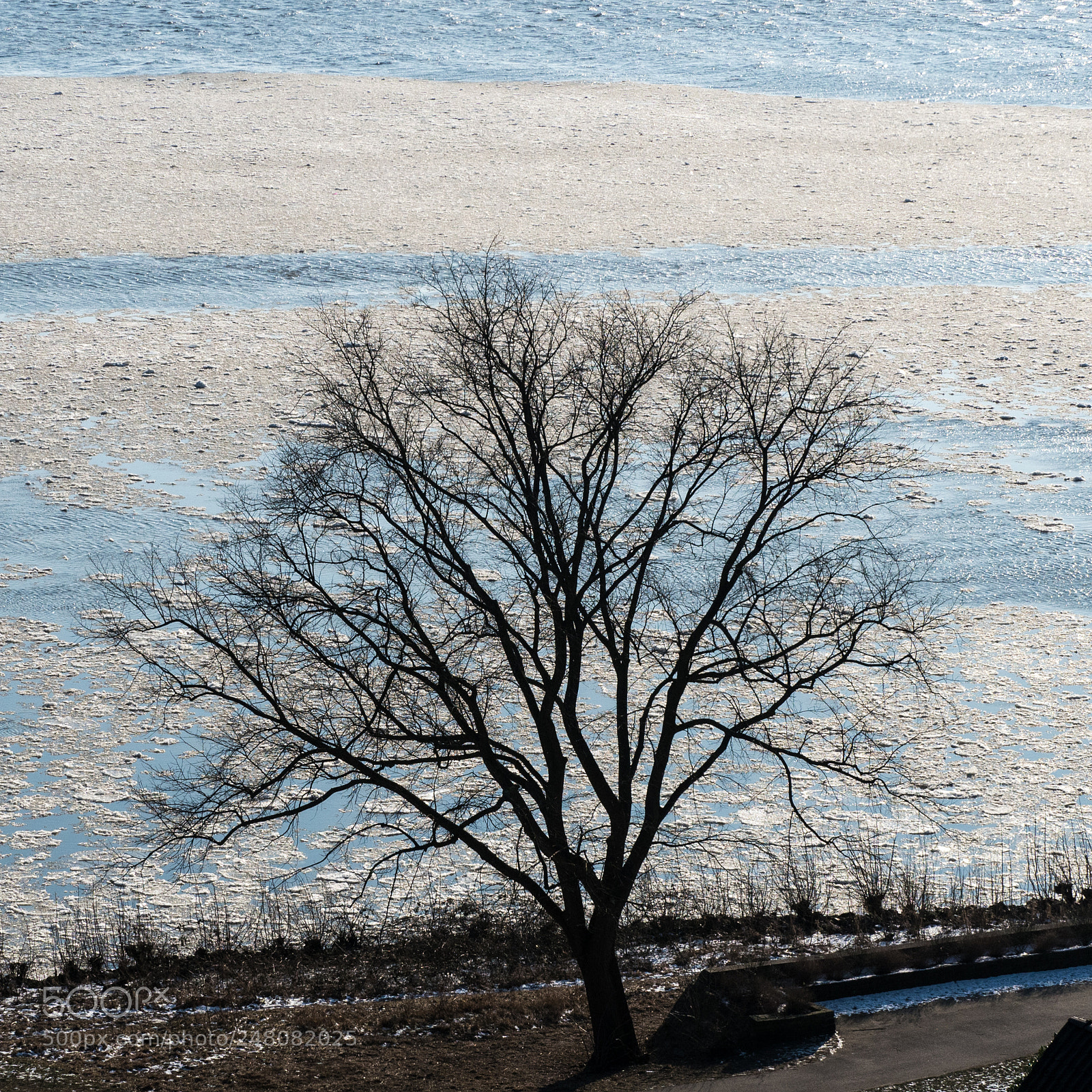 Olympus OM-D E-M5 II sample photo. Winter silhouette photography