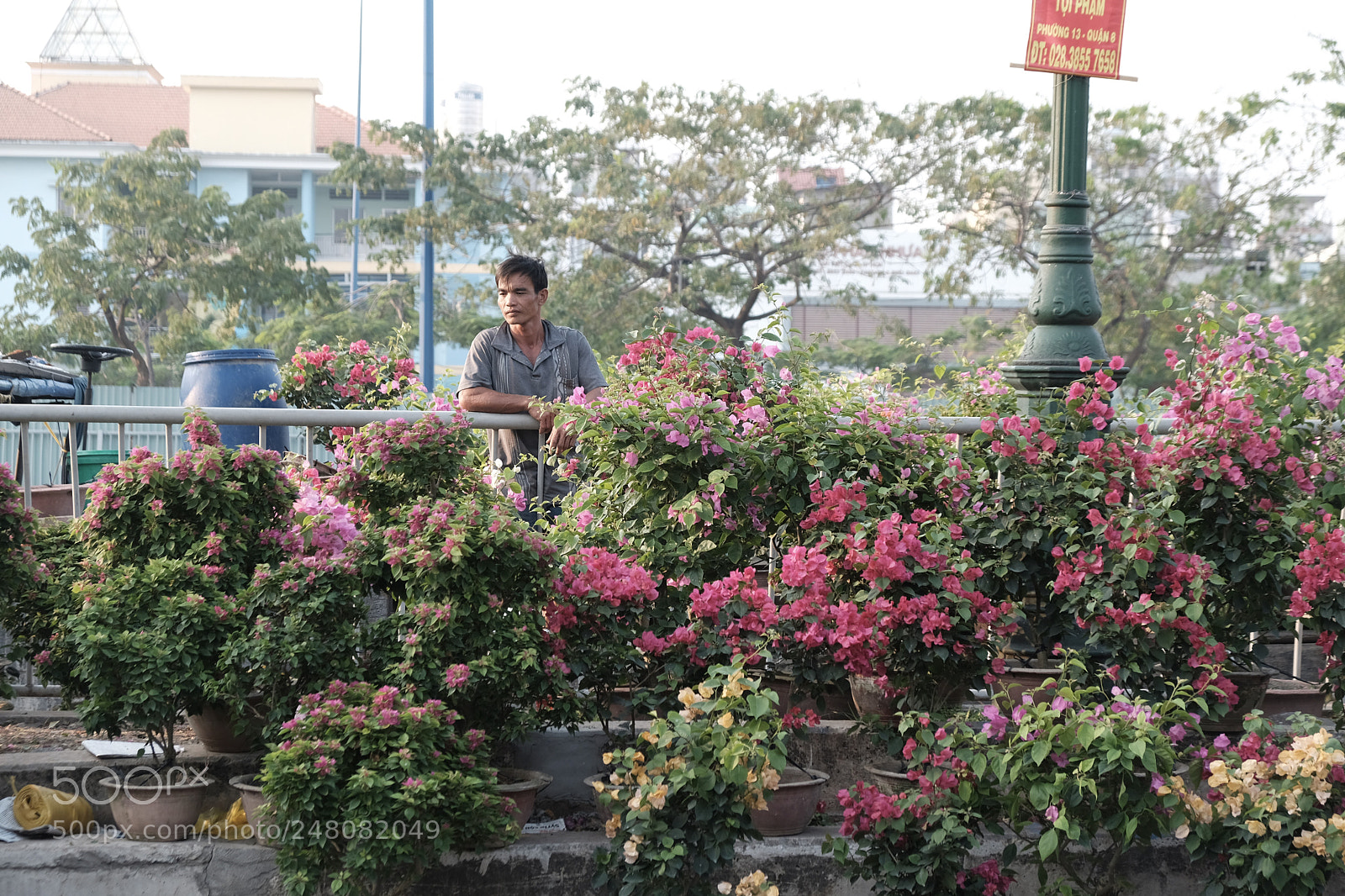 Fujifilm X-T20 sample photo. Flower market photography