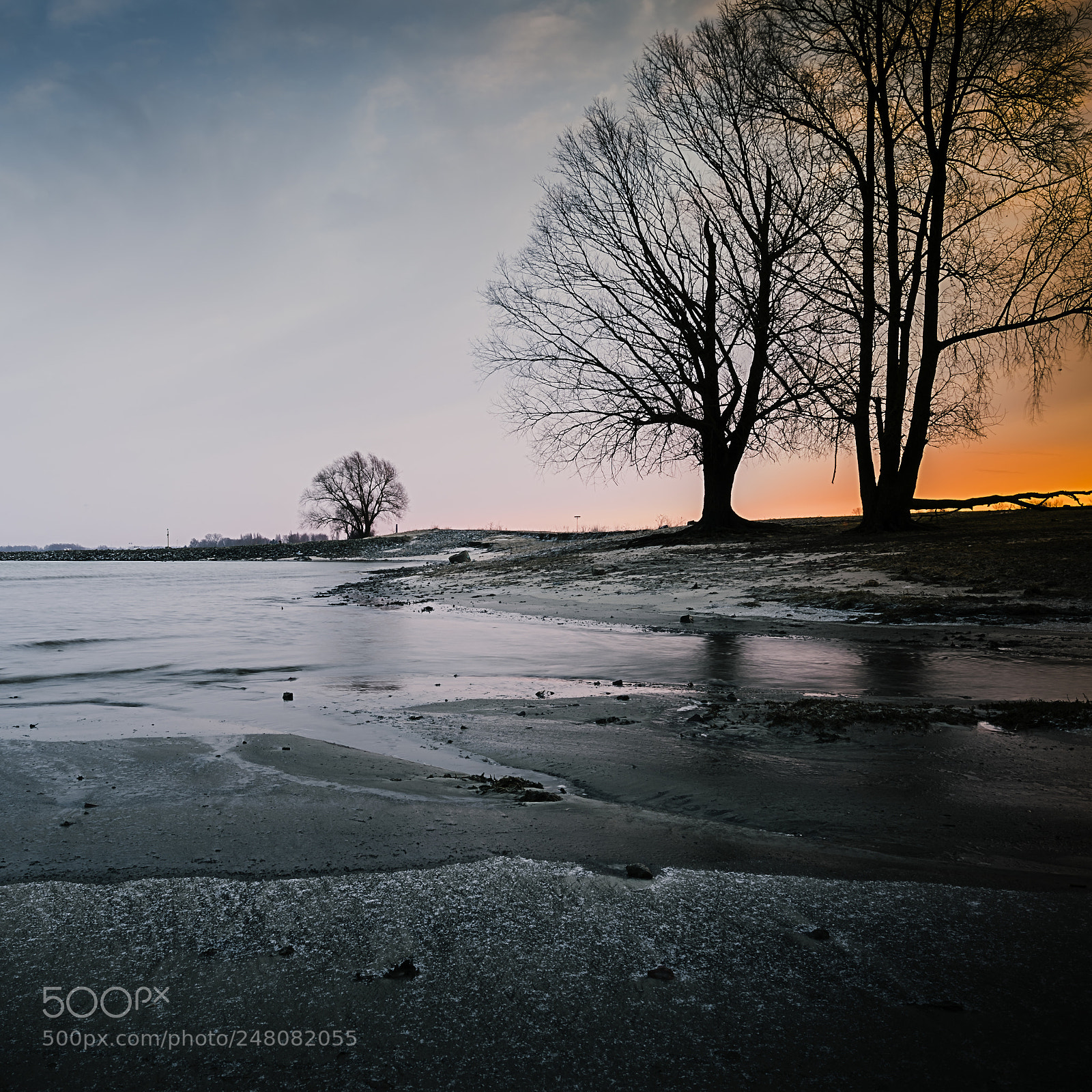 Nikon D810 sample photo. Seeing the sun rising photography