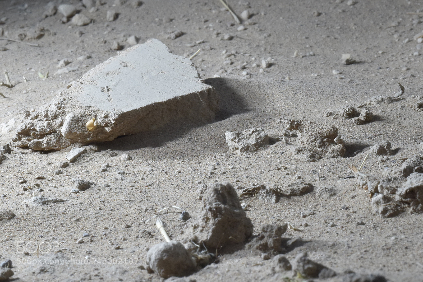 Nikon D810 sample photo. Caliche clod photography