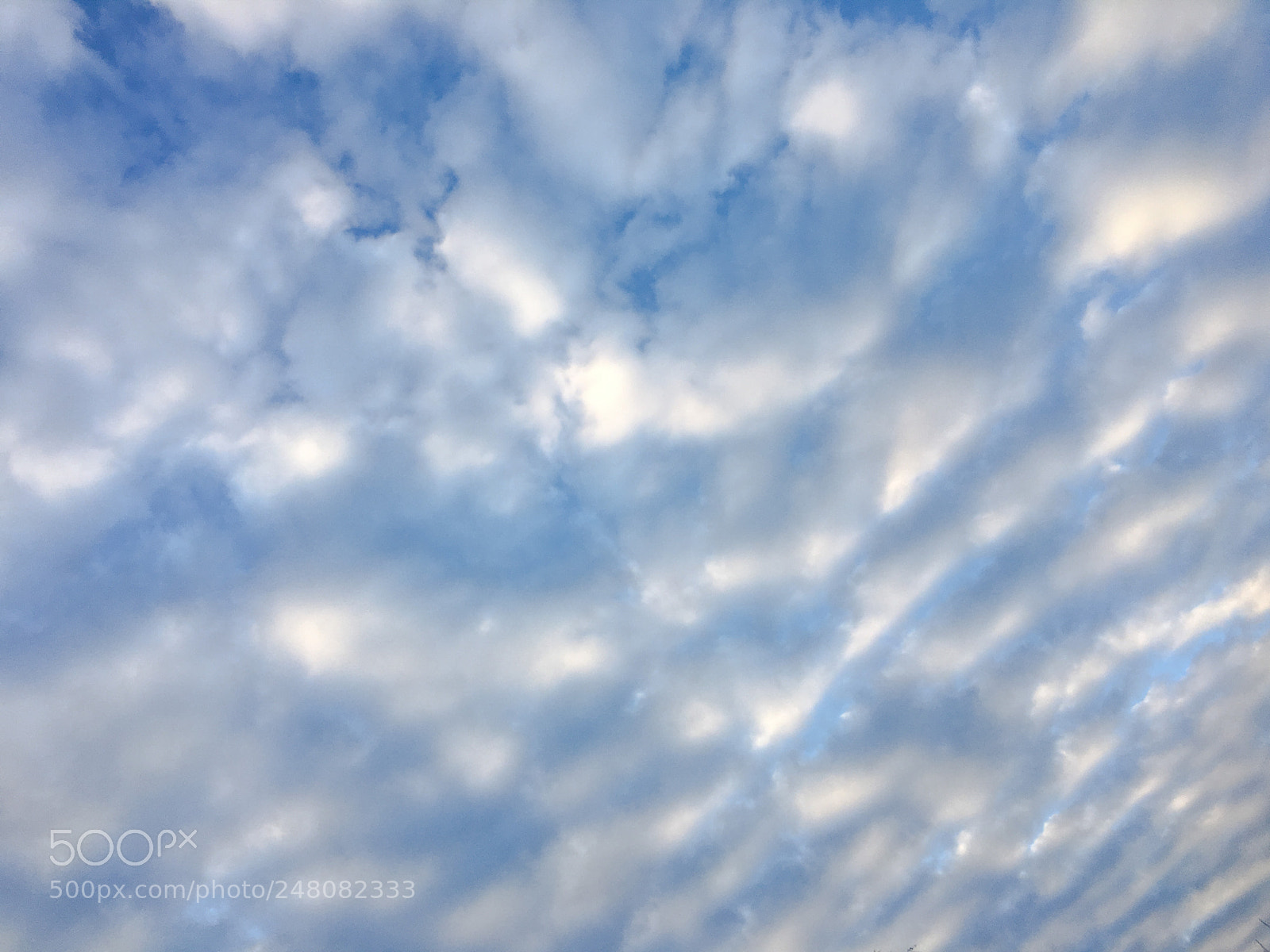 Apple iPhone 6s sample photo. Deep blue sunny sky photography