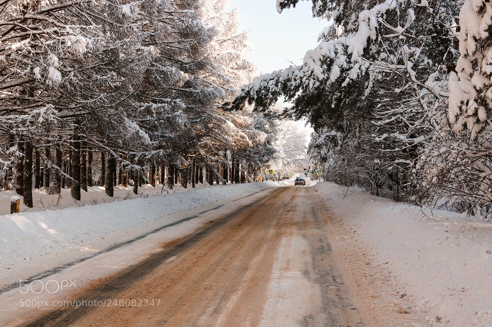 Canon EOS 760D (EOS Rebel T6s / EOS 8000D) sample photo. Winter photography