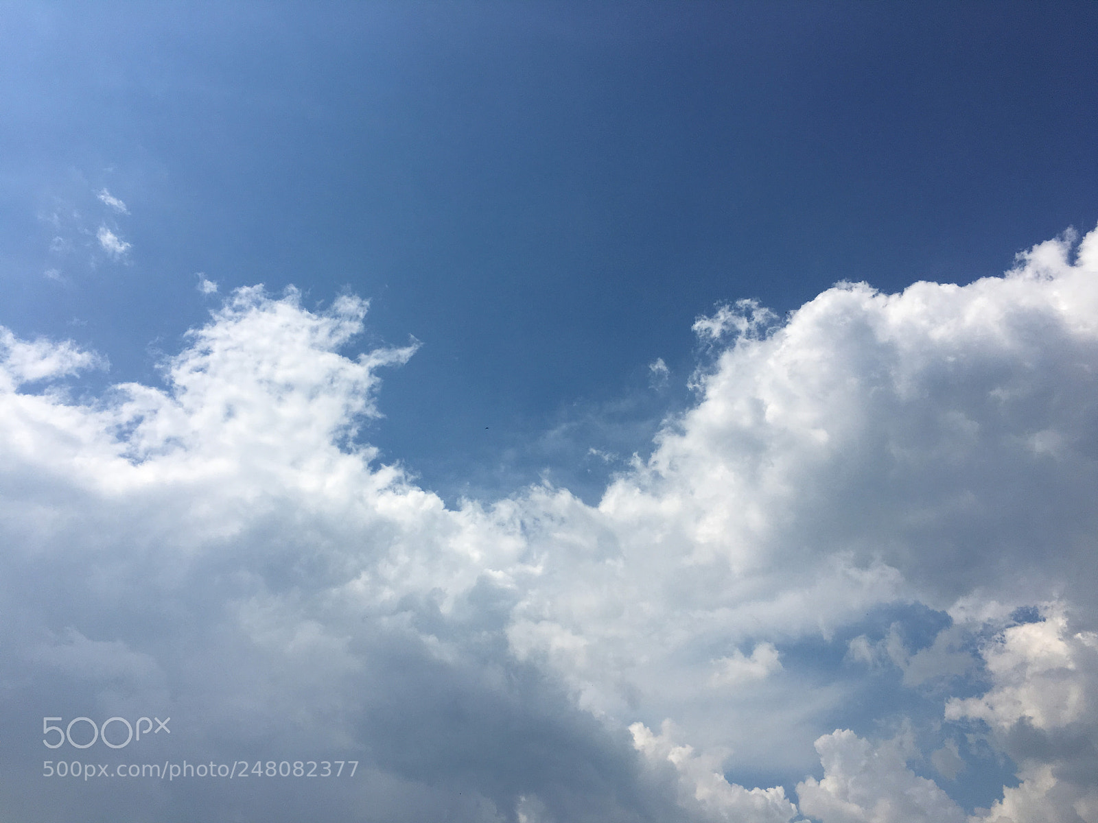 Apple iPhone 6s sample photo. Deep blue sunny sky photography