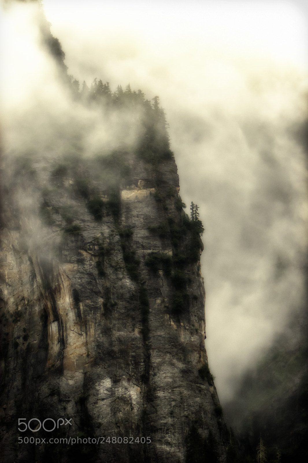 Canon EOS 20D sample photo. Into the underworld photography