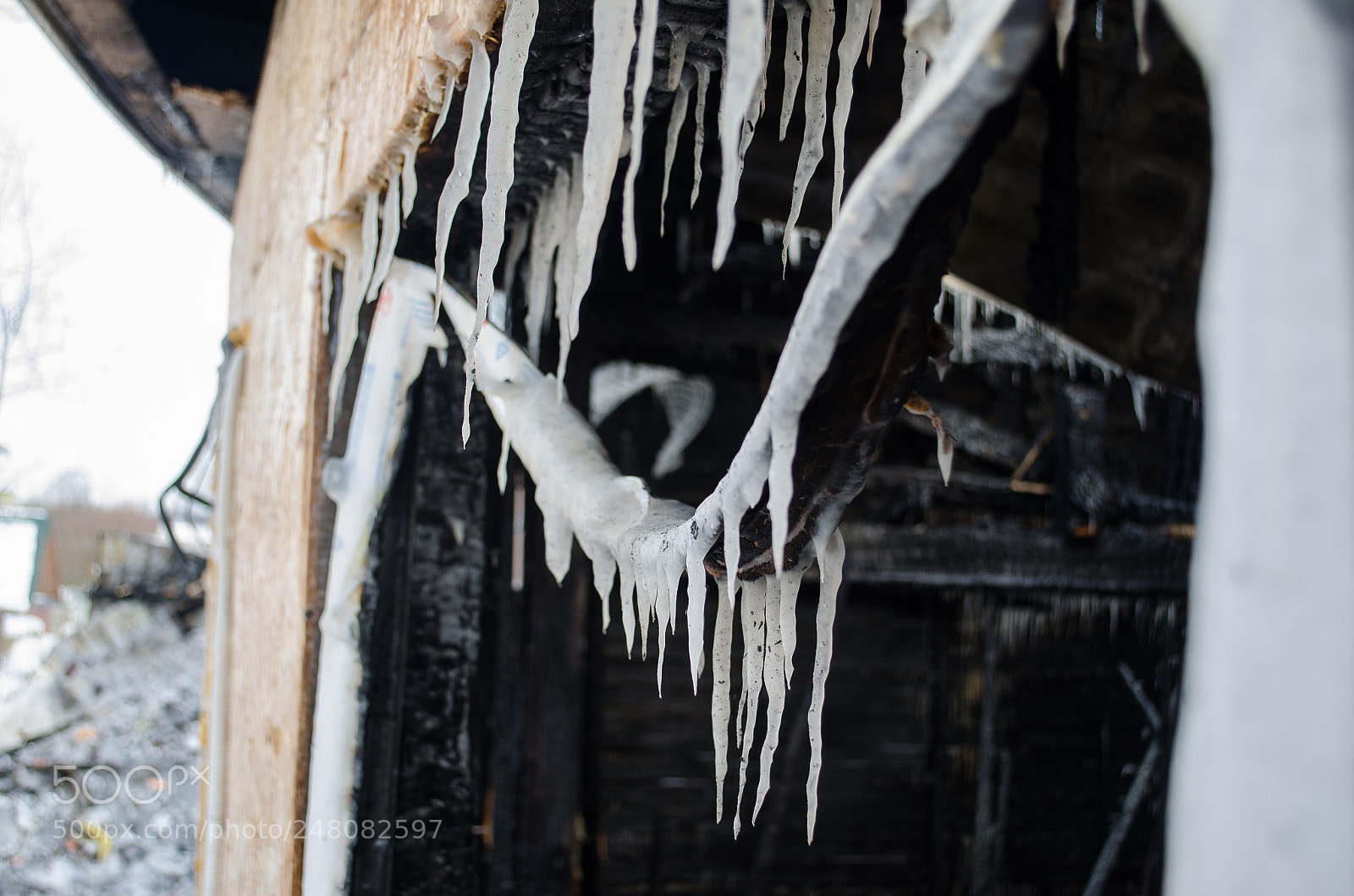 Nikon D5100 sample photo. Tears of sorrow photography