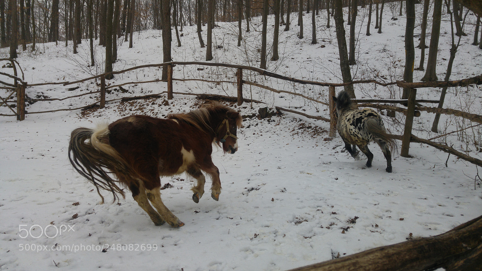 LG G4 sample photo. Happiness photography