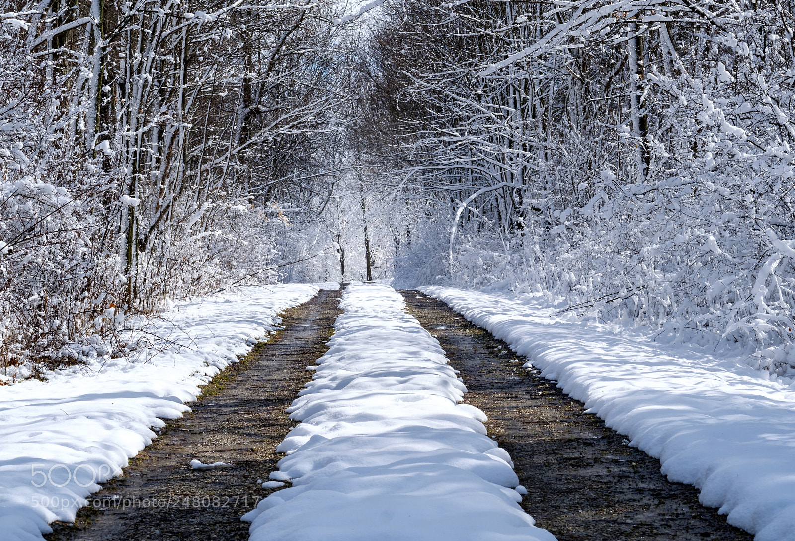 Fujifilm X-T2 sample photo. Winter road photography