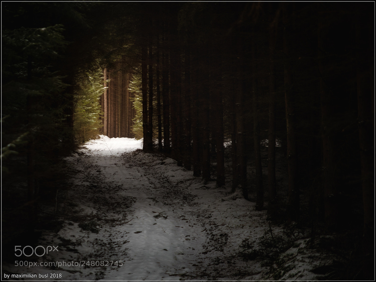 Nikon D850 sample photo. Dark way photography