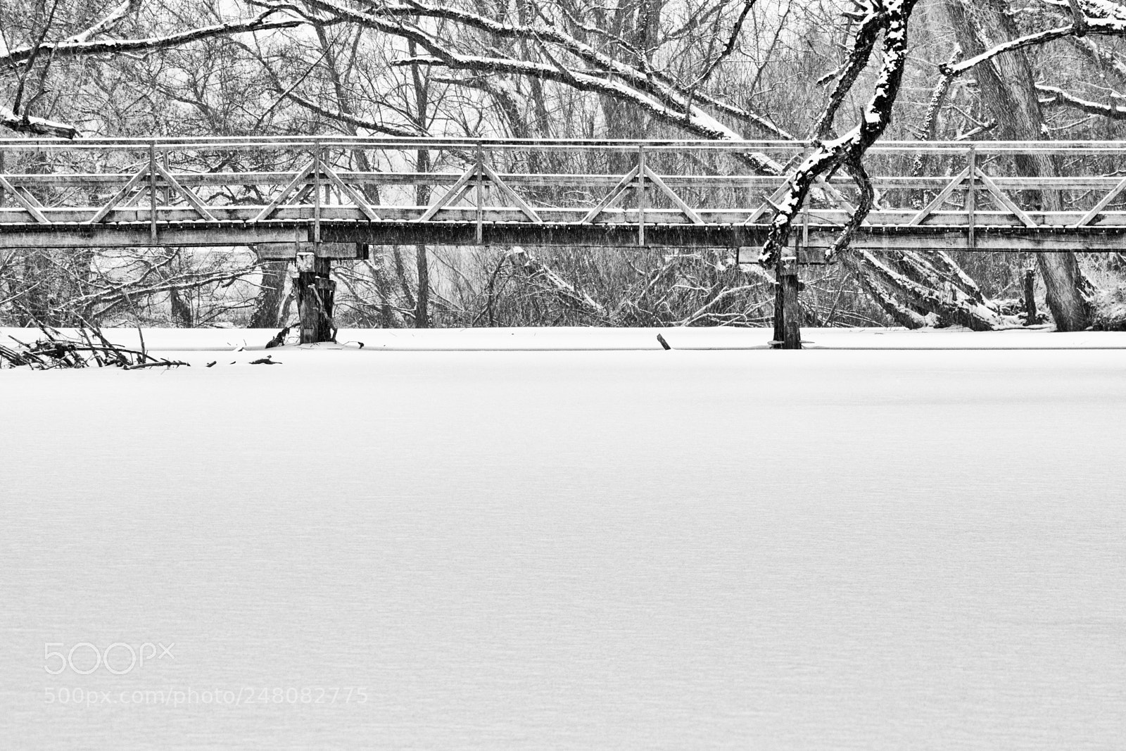 Canon EOS 60D sample photo. The little wooden bridge photography
