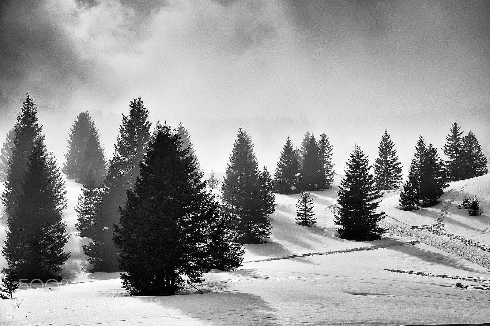 Sony a7R II sample photo. Snow ii photography