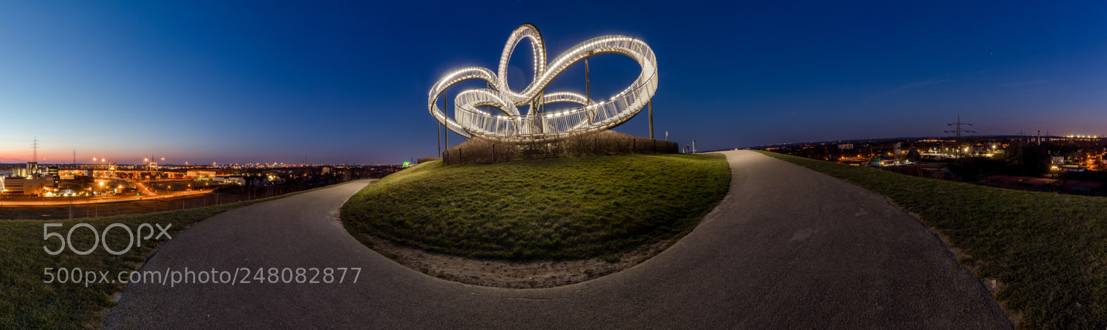 Canon EOS 80D sample photo. Pano tiger & turtle photography