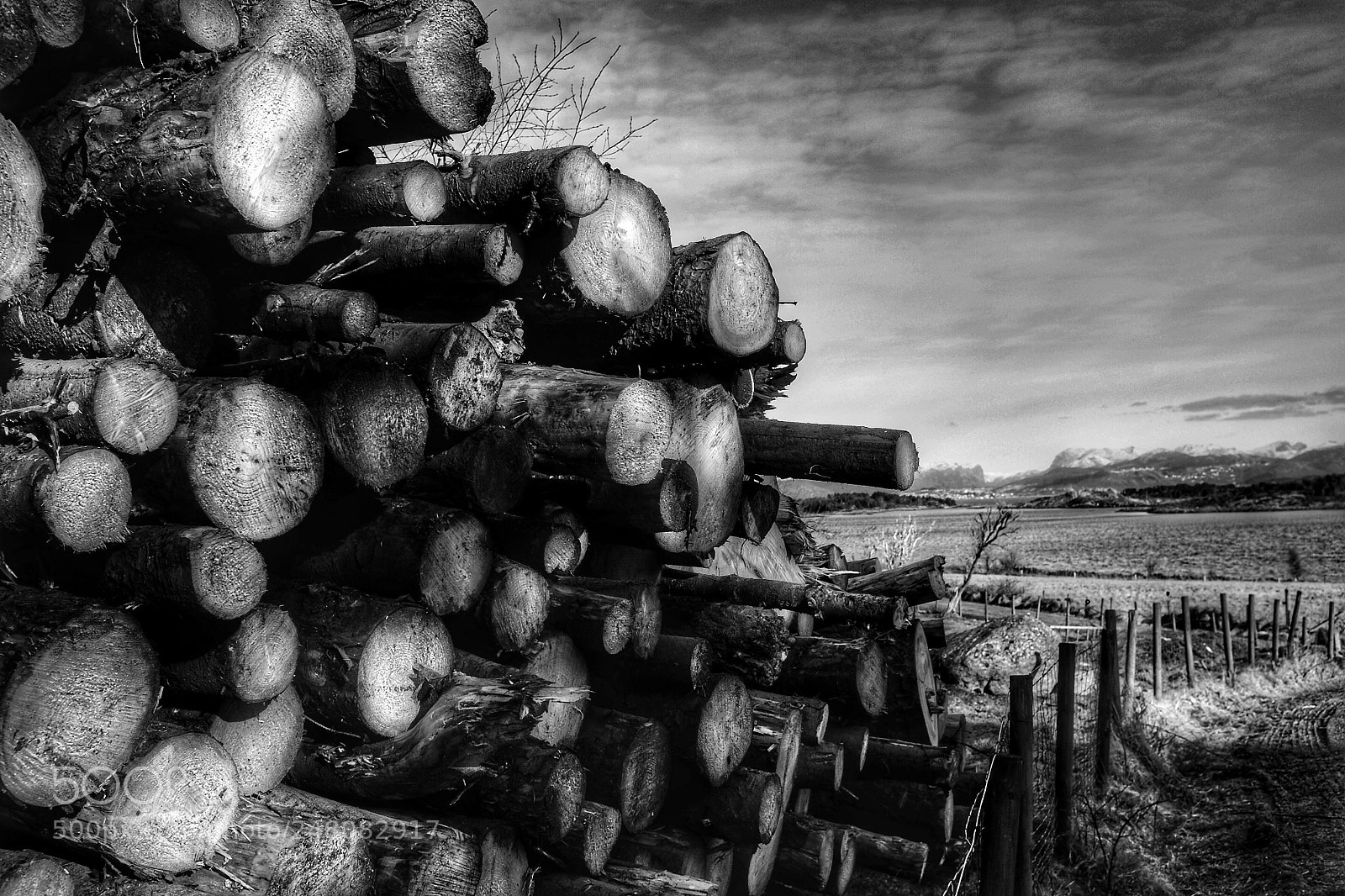 Fujifilm X100S sample photo. Wood photography