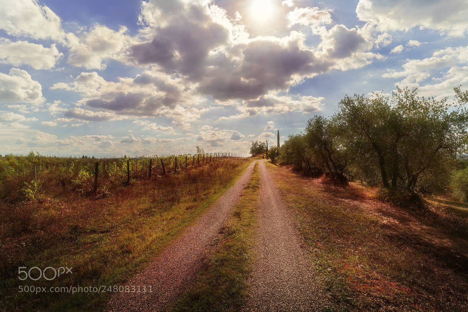 Sony a7R II sample photo. Way ... photography