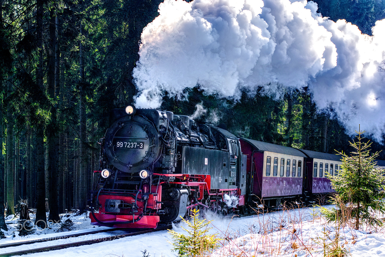 Nikon D5200 sample photo. Harzer brockenbahn photography