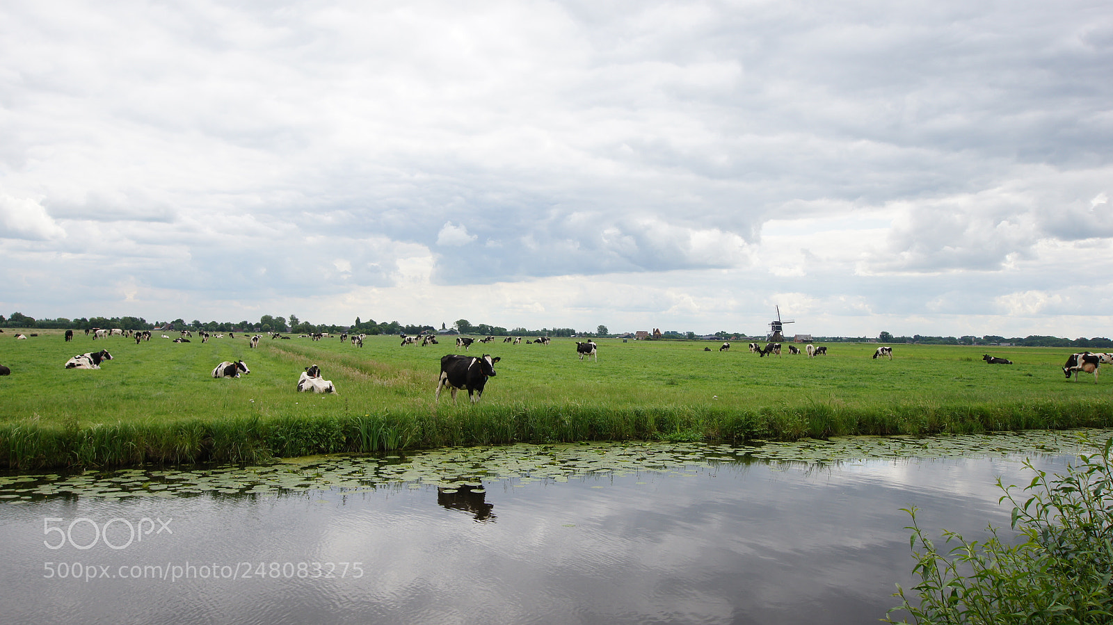 Sony SLT-A55 (SLT-A55V) sample photo. Landscape of the netherlands photography