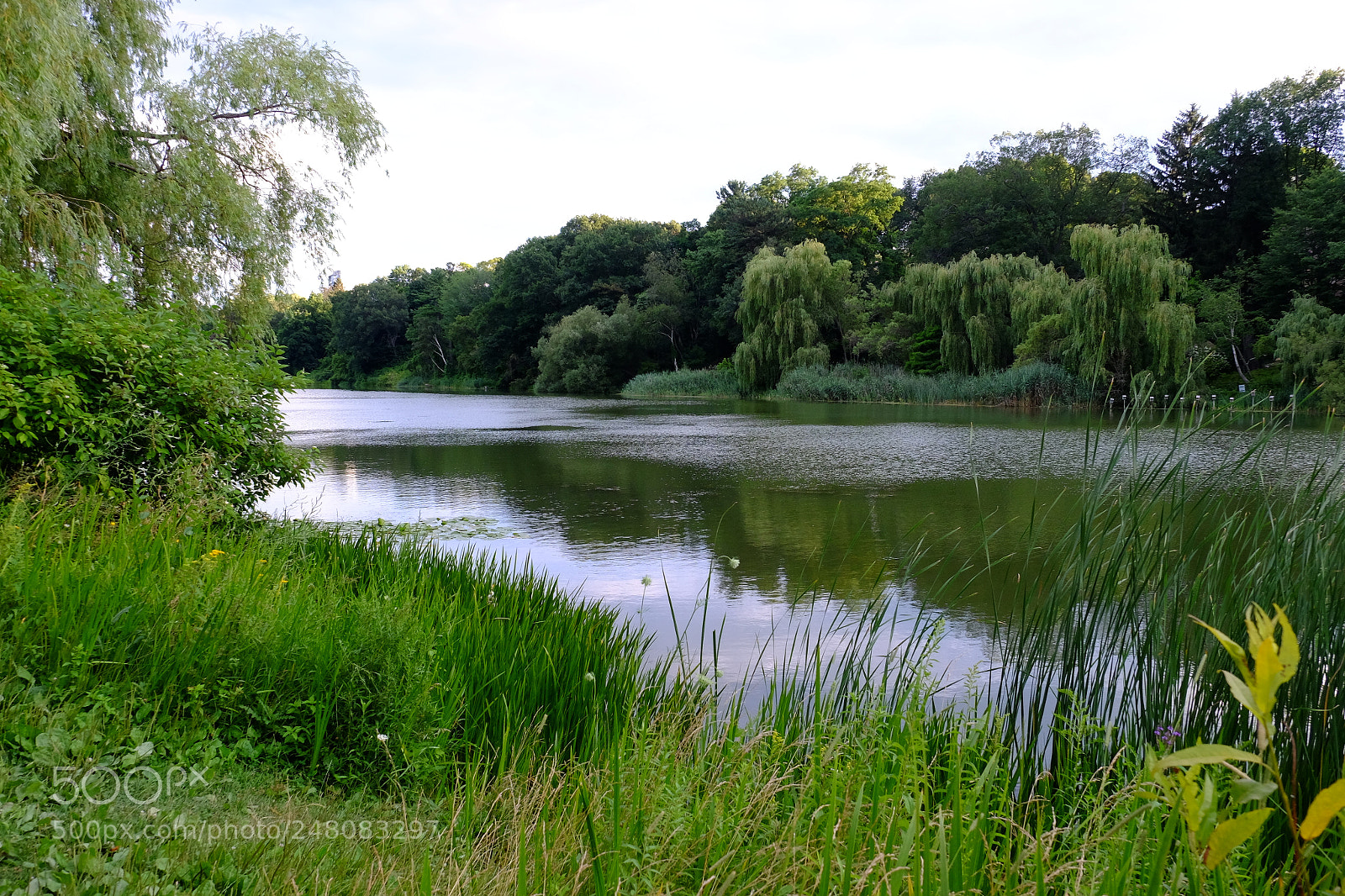 Fujifilm X-T1 sample photo. High park - summer photography