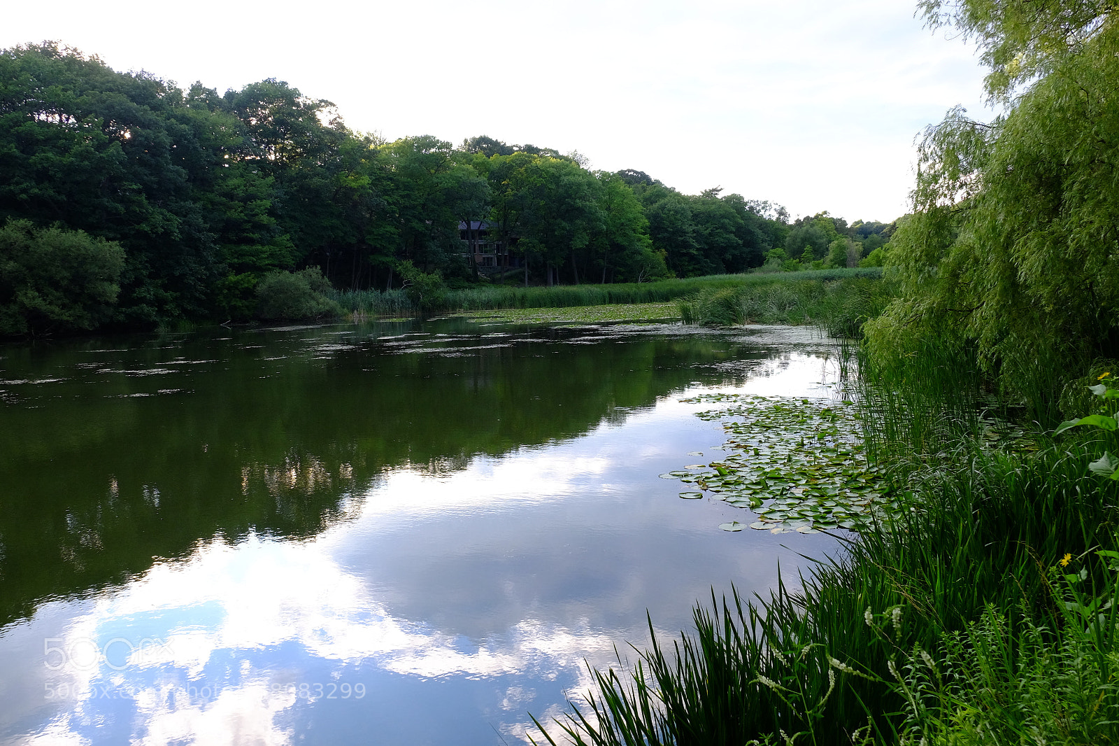 Fujifilm X-T1 sample photo. High park - summer photography