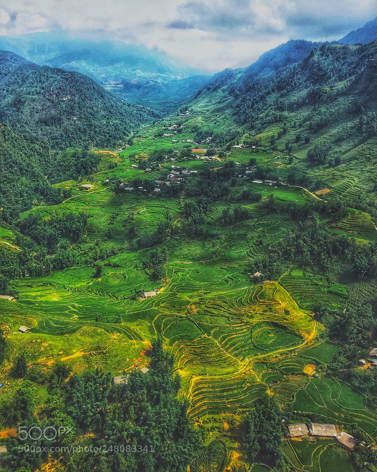 Apple iPhone 6 Plus sample photo. Terrace rice field sapa photography