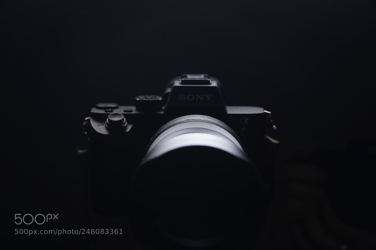 Sony a6300 sample photo. Untitled photography