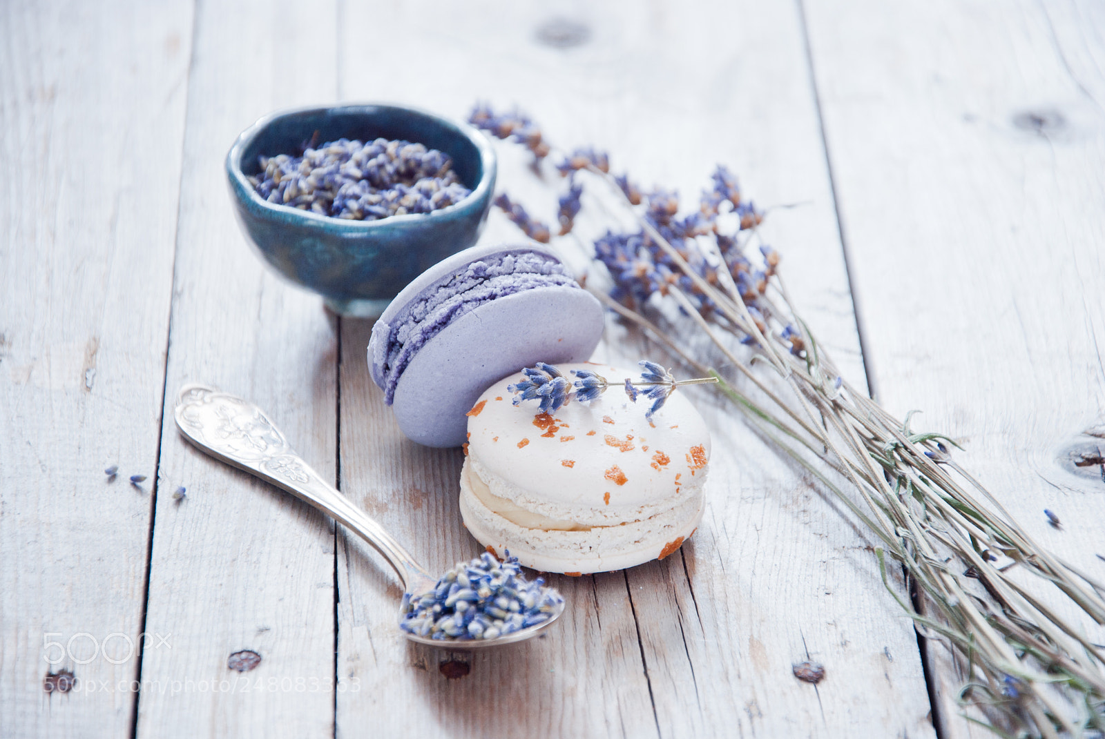 Nikon D3000 sample photo. French lavender macaroons photography